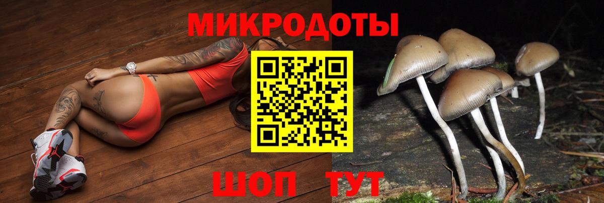 Галлюциногенные грибы GOLDEN TEACHER Миллерово