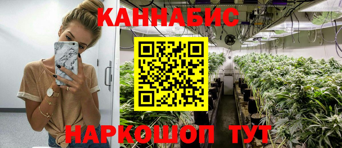 Бошки марихуана марихуана  Конопля VHQ  Миллерово  Вход с VPN  Шишки марихуана Amnesia 